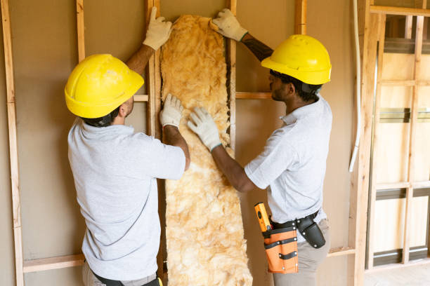 Best Attic Insulation Installation  in Combes, TX