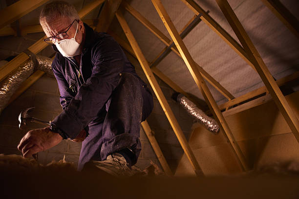 Best Spray Foam Insulation  in Combes, TX